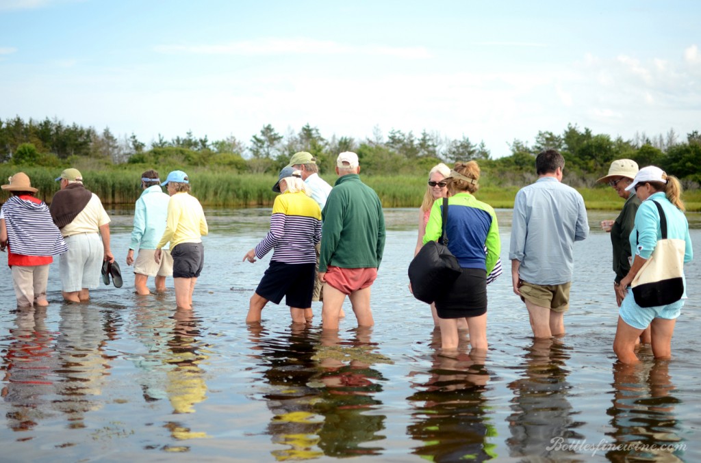 Walrus and Carpenter Oysters - Farm Feast 2014 - Drink | A Wine, Beer