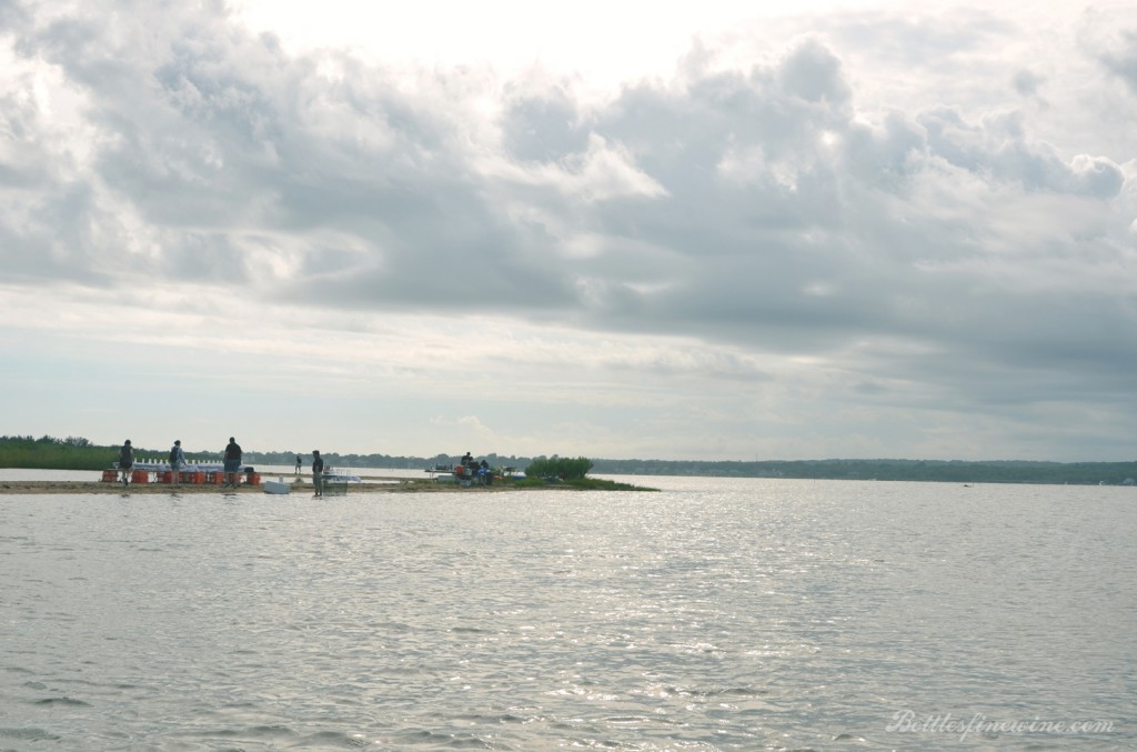 Walrus and Carpenter Oysters - Farm Feast 2014 - Drink | A Wine, Beer
